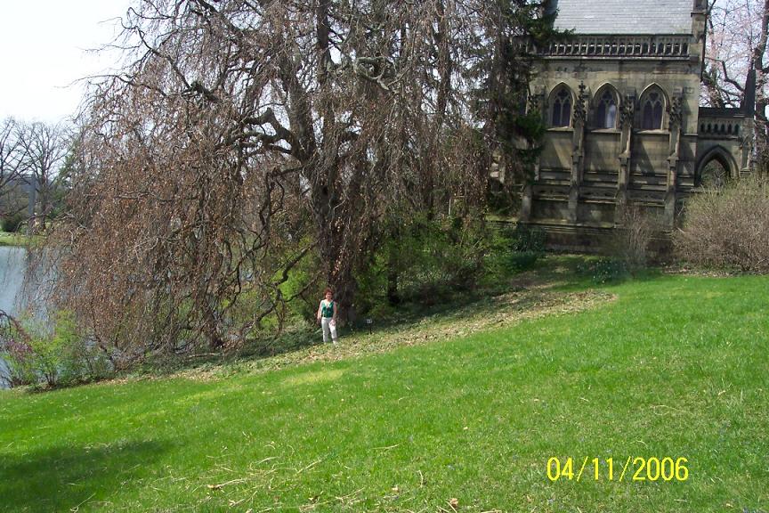 Cincinnati-Spring 2006