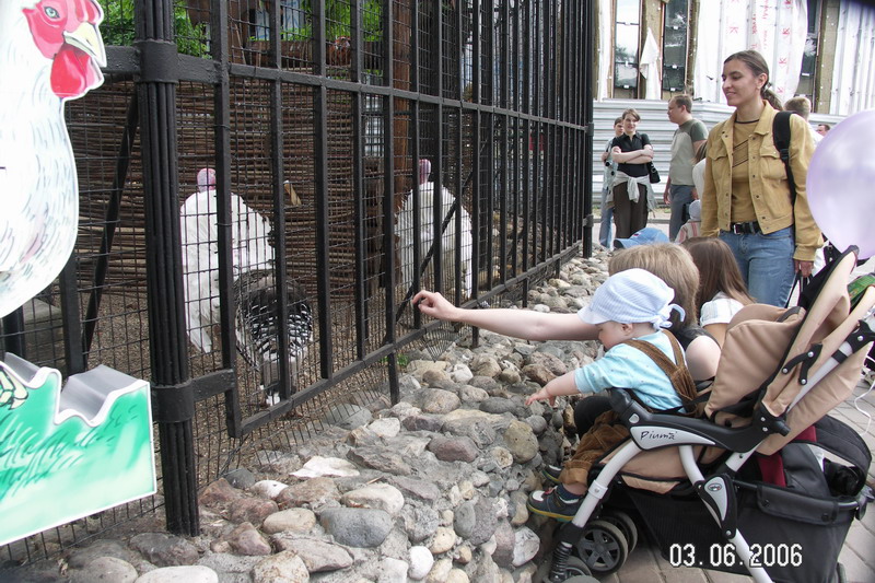 Индюки?!. Зоопарк 2006