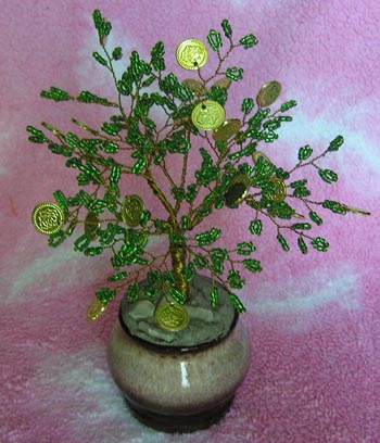 Денежное дерево. 