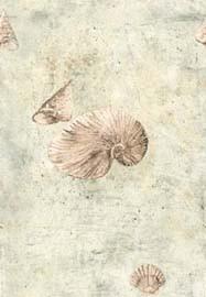 06. Морское дно