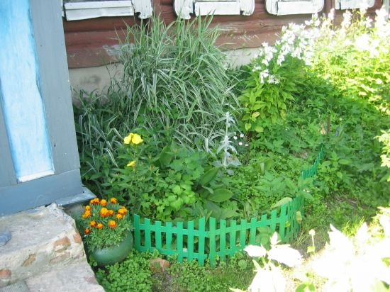 Еще цветочки. лето 2006