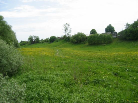 берег реки. лето 2006