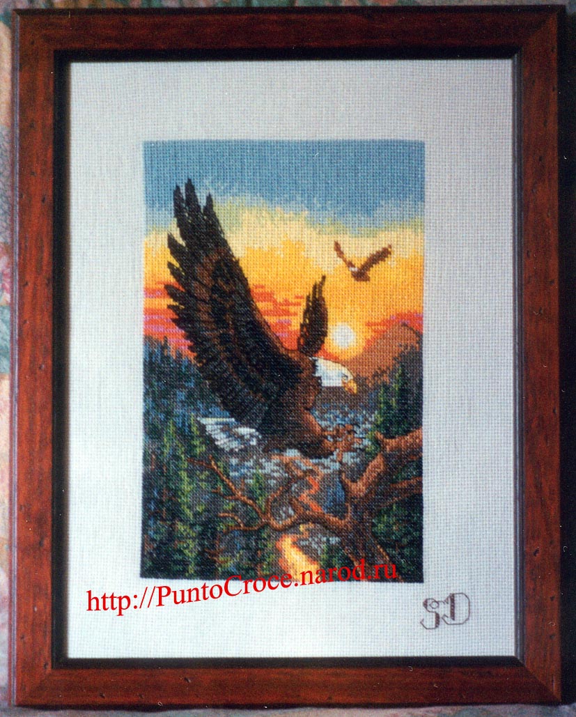 Eagle. Ищу/ Looking for
