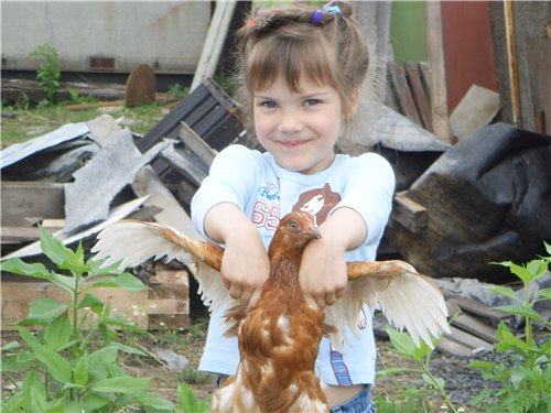 Цыпленок 'Montana'. Дети