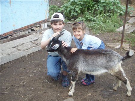 Жил-был у деточек серенький козлик.... Дети