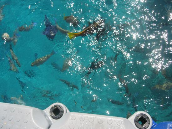 Египет. лето 2006