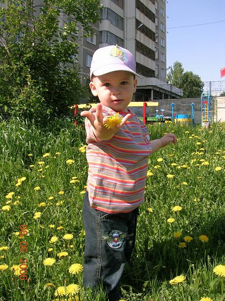 цветочек любимой мамочке. 