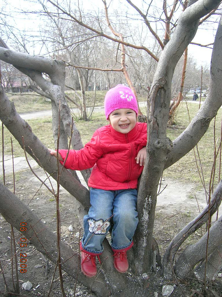 люблю лазать по деревьям. 