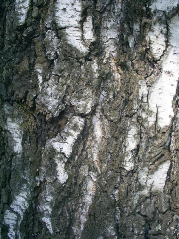 Просто фотографии