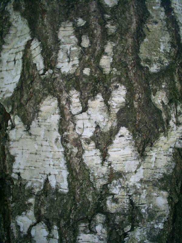 Просто фотографии