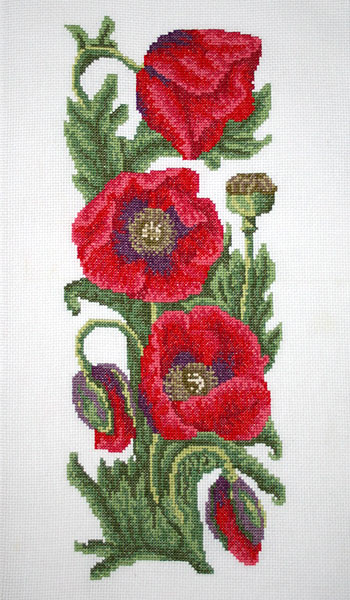 Маки. Мои работы