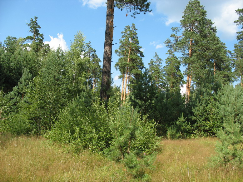 Вот такие там места)). Отпуск 2006