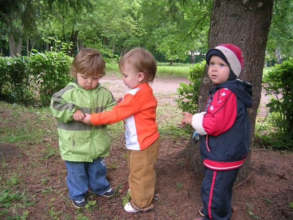 санаторий Зеленая роща