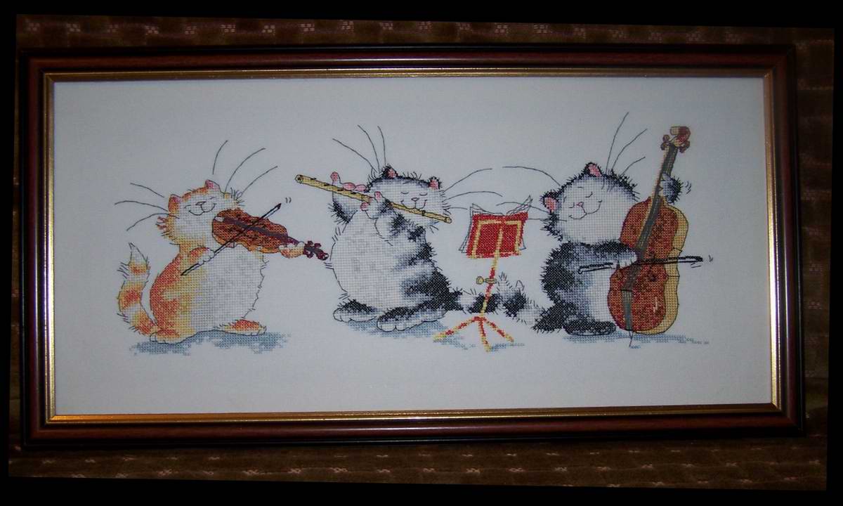 Музыканты. Коты