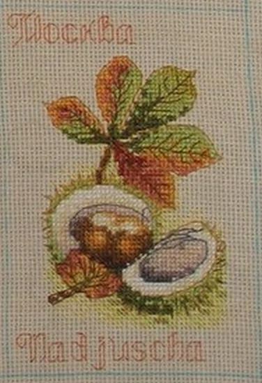 каштан. робин 