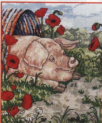 Свинки от ДМС