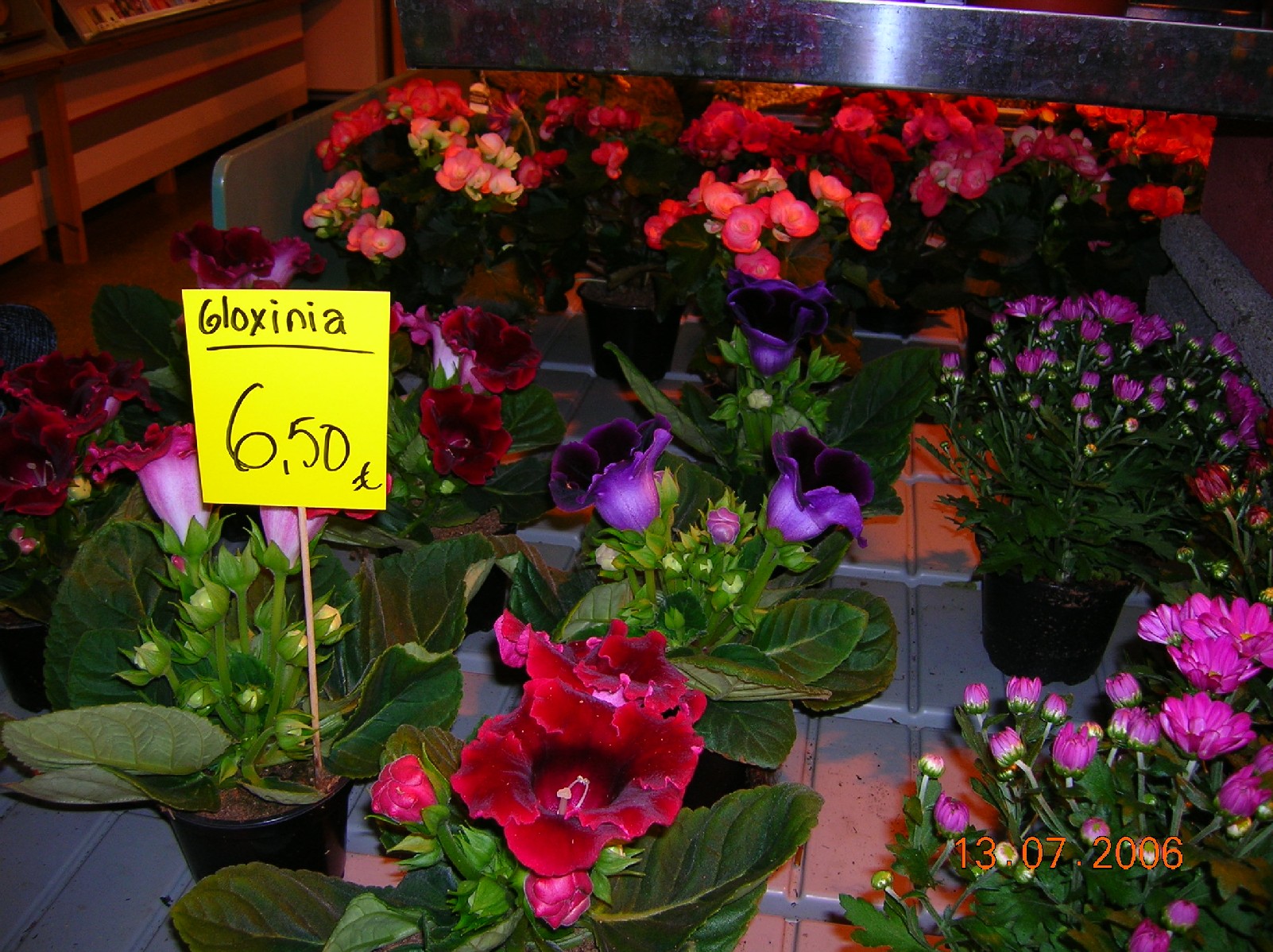 цветочный магазин. поездка в Финляндию