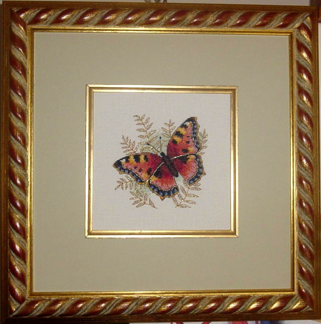 Dimensions. Graceful Butterfly. Мои работы