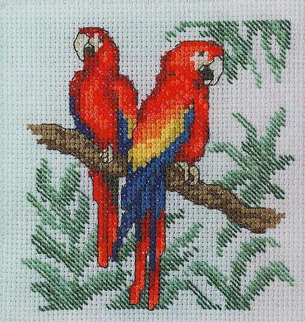 P-093. Parrots