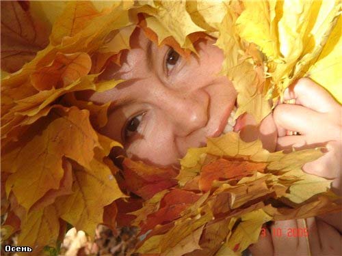 Осень. семья