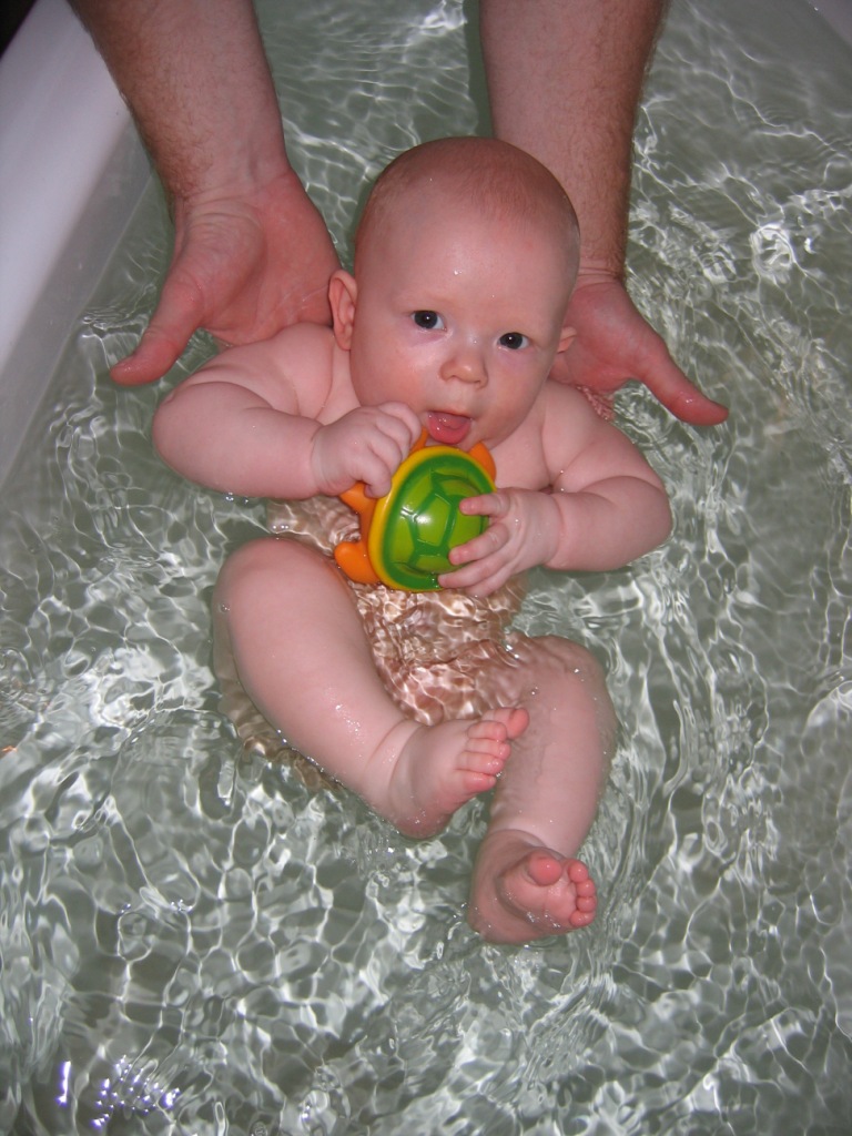 Купание с черепахами. Арсеня