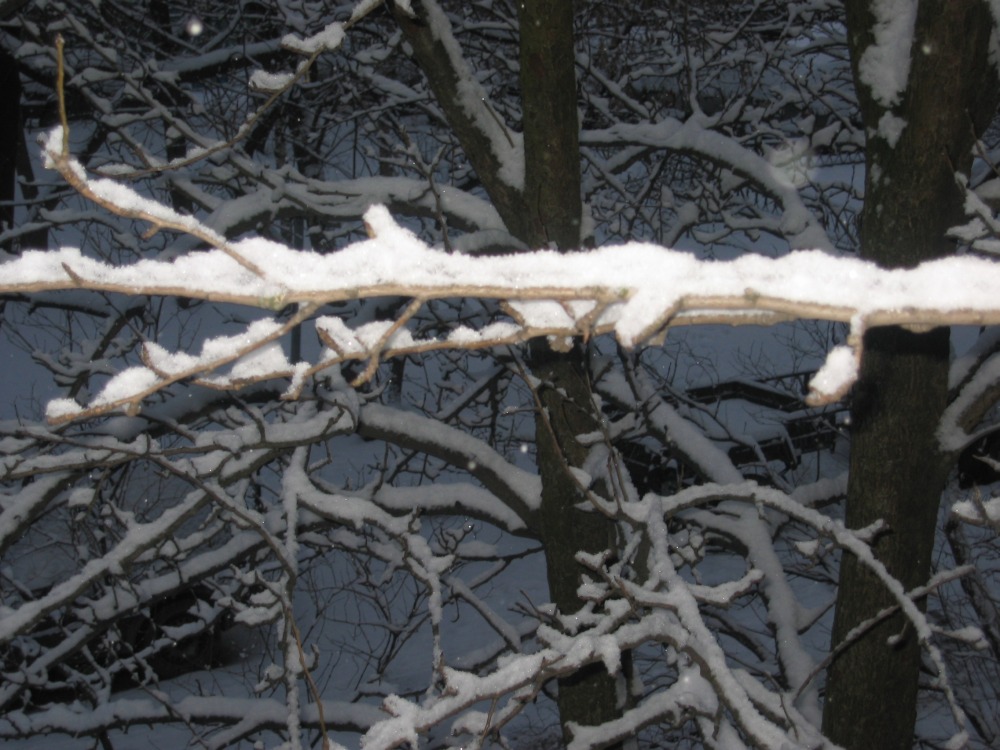 вот такая получилась красота. фото 