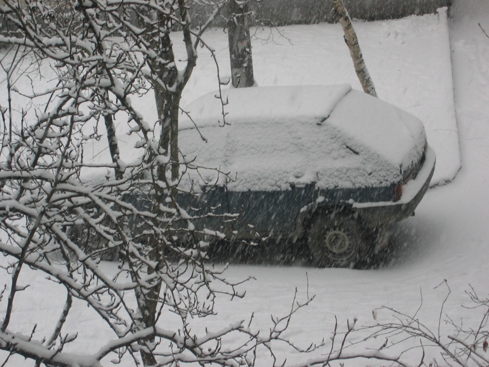 Снегопад с самого утра и на весь день.... фото 