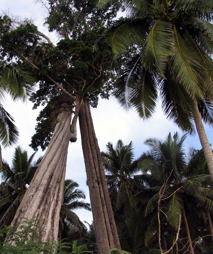 Поддержка. Порт-Блэр