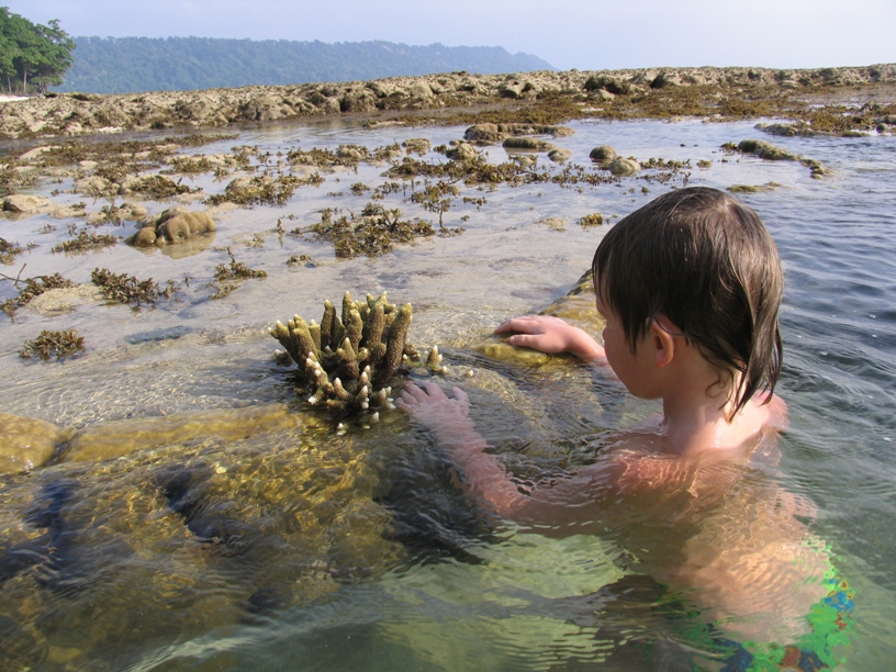 Коралл!. Хэвлок и окрестности