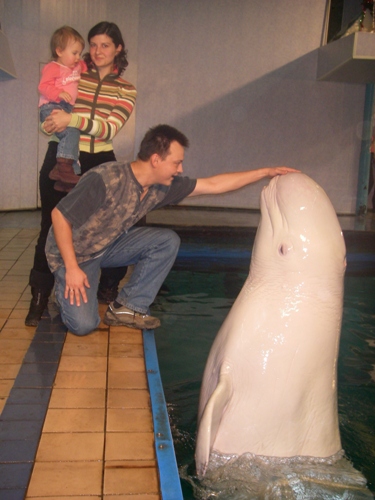 Дельфинарий