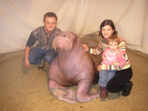 Дельфинарий