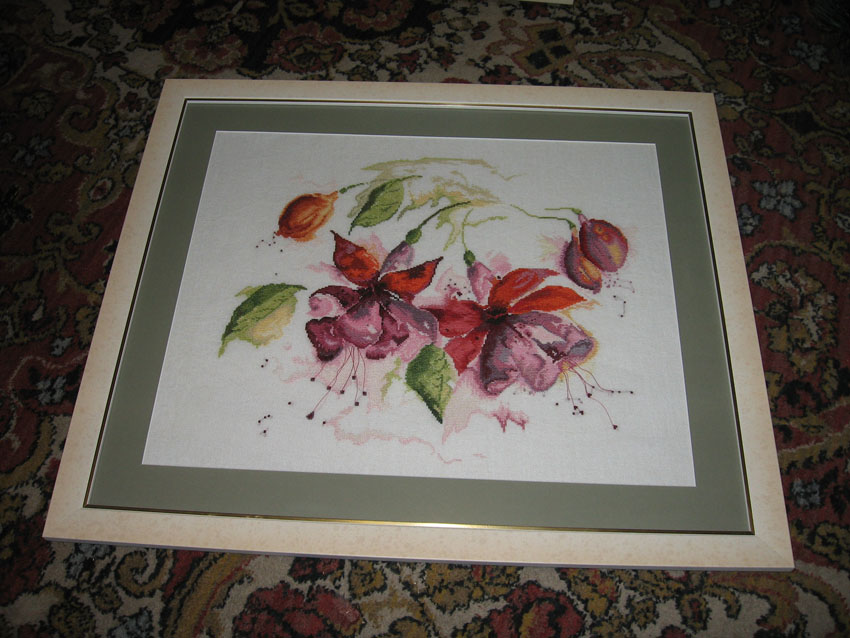 Фуксии. Мои работы