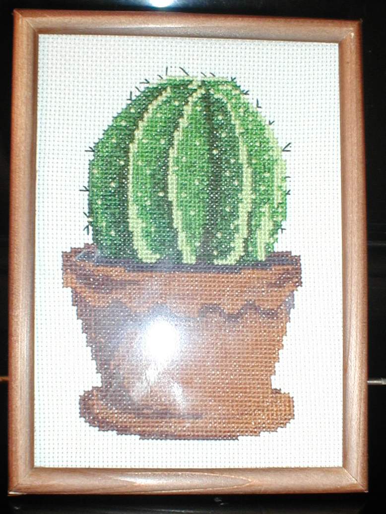 Кактус. Мои работы 2002