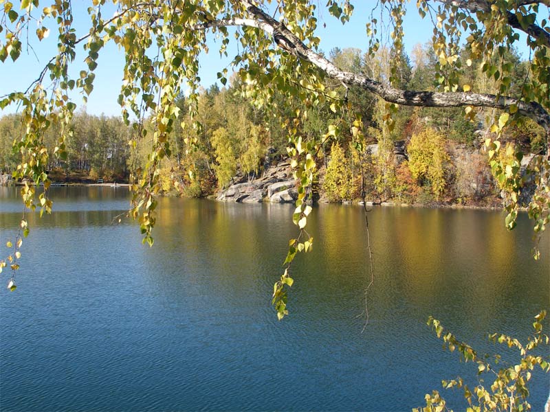 Березка ая. Озеро ая. Озеро ая осенью. Золото в озере ая. Озеро ая цветет.