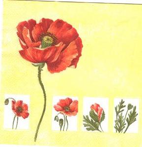 маки. Клинские салфетки