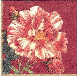 шиповник. Клинские салфетки