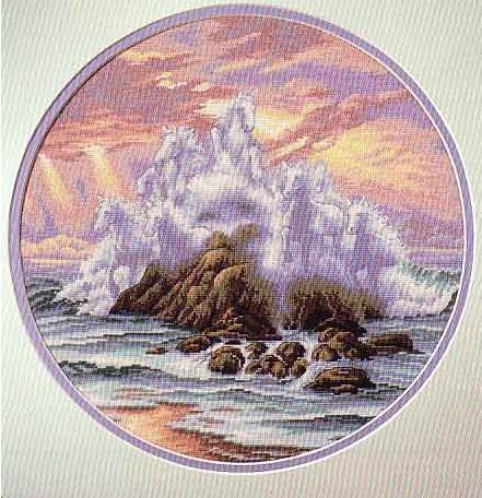 Dimensions - Wild Surf. 