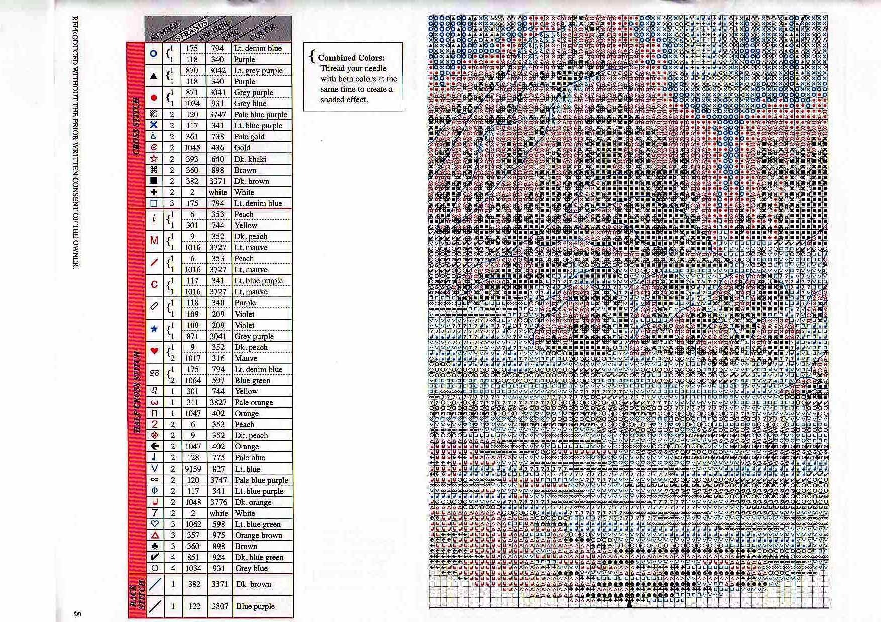 Dimensions - Wild Surf