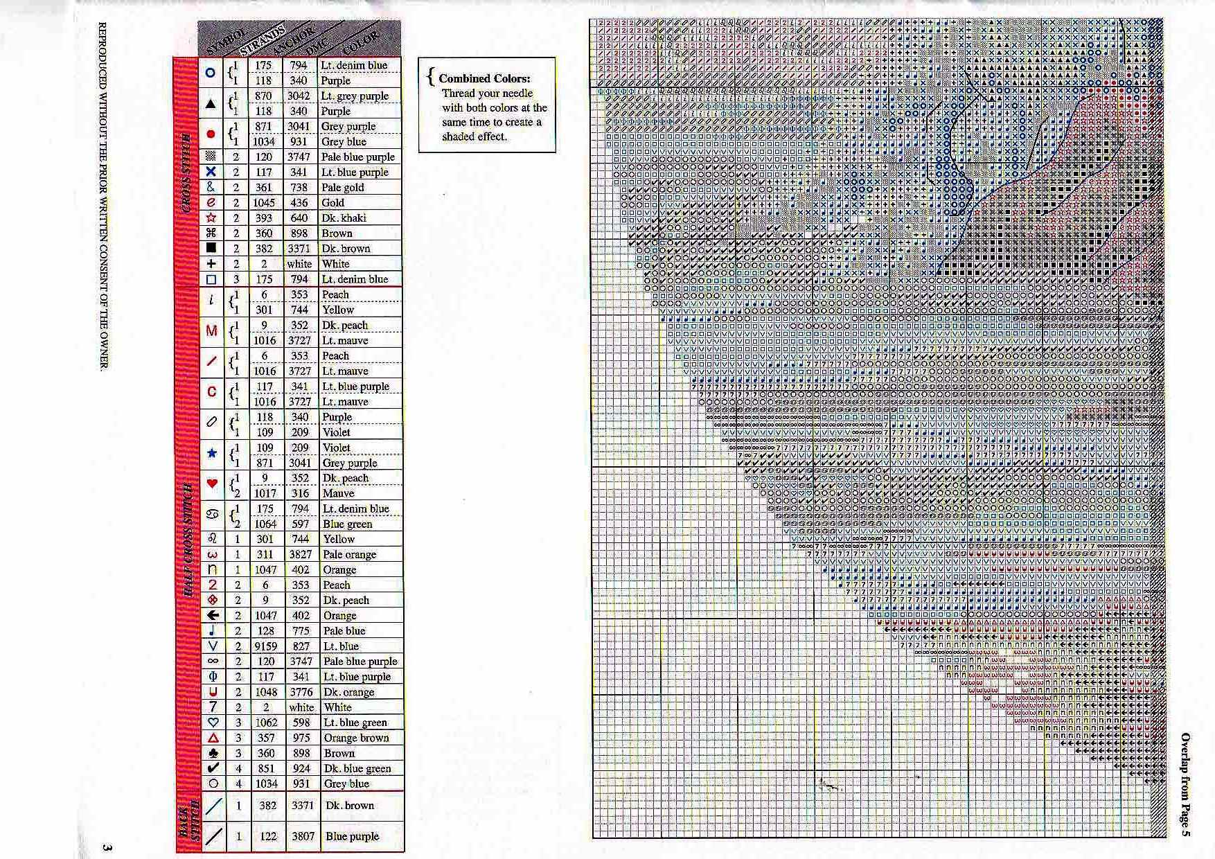 Dimensions - Wild Surf