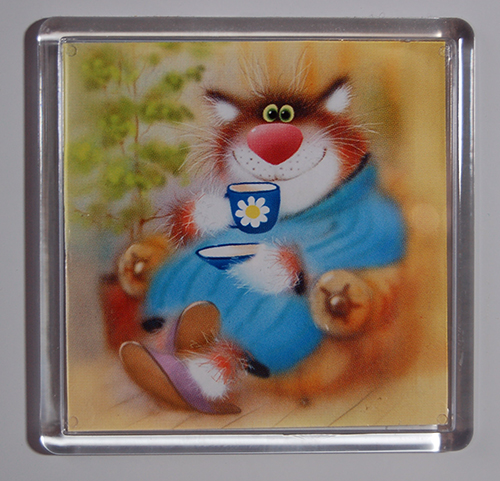 кот. Магнитики