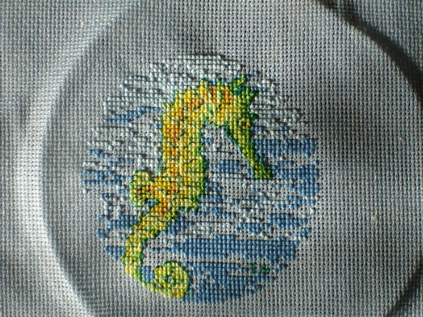 Морской конек. 2007