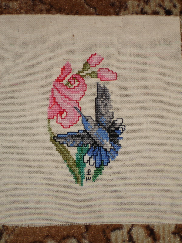 Колибри. 2007