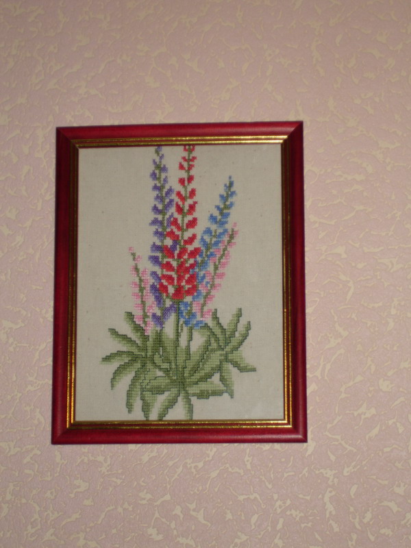 Люмпины. Разные