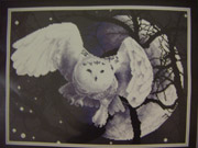 Белая сова (Panna). Мои работы