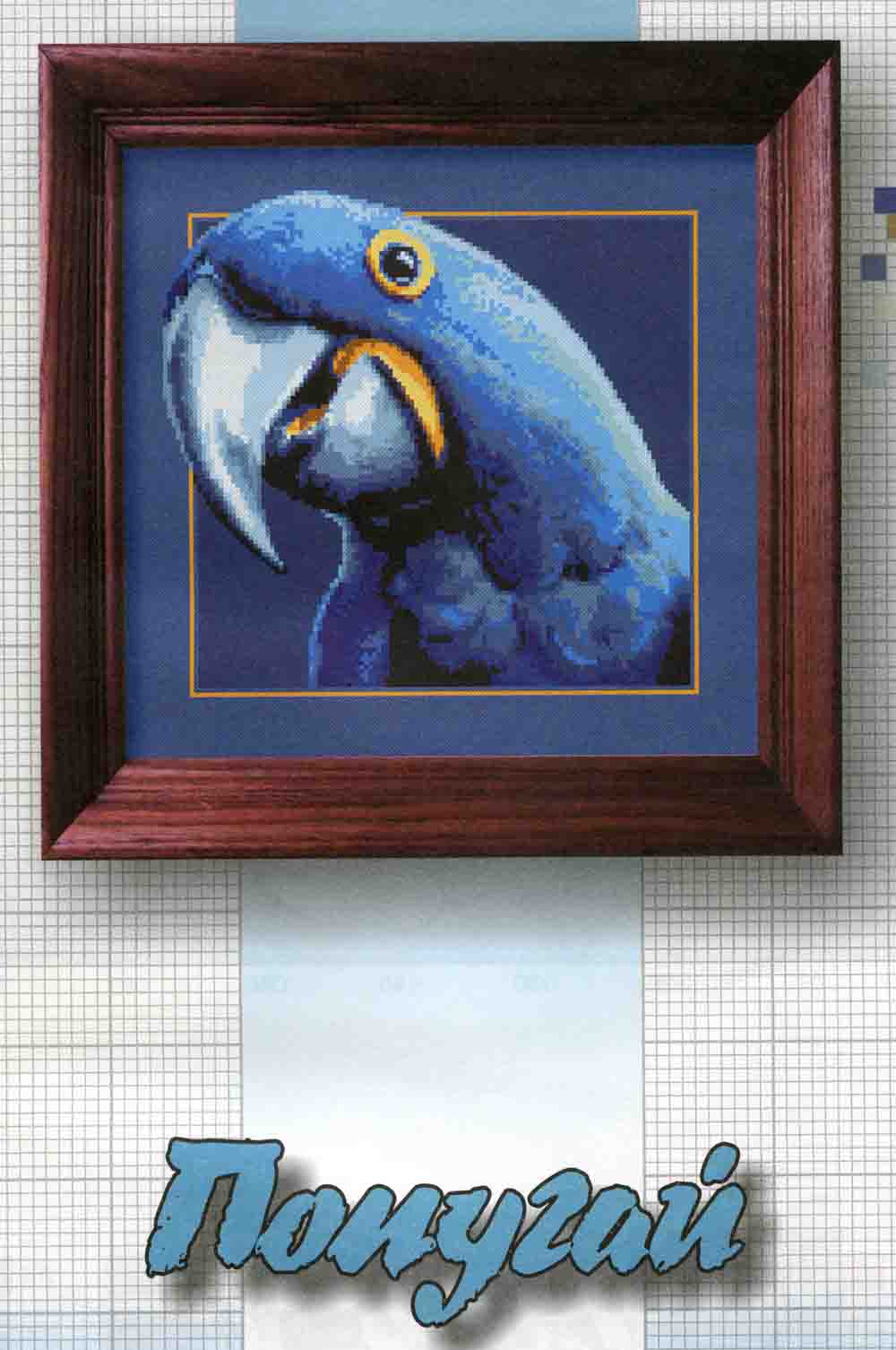 Вышивка голубые попугаи