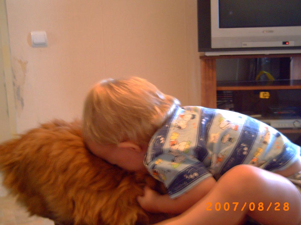 видно плохо, но вообще-то это мы так кису любим.... 