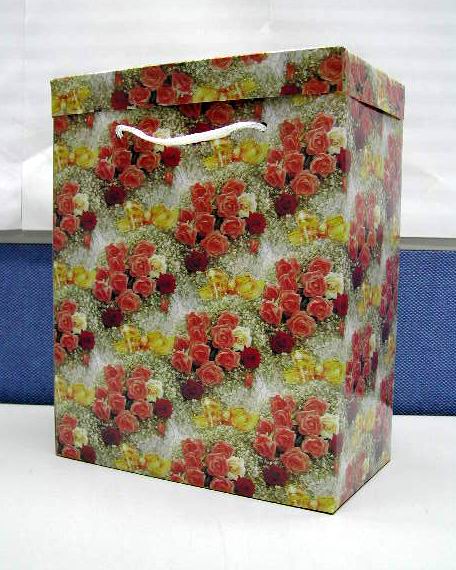 Подарочная коробка A050 . Пакеты