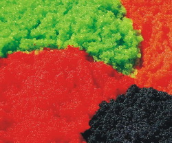 Икра летучей рыбы . СУШИ_1