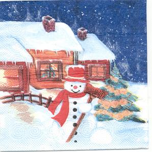 диканька. салфетки