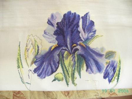 Голубая рапсодия